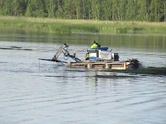 Evijärven kunnostushankkeessa on tehty tänä kesänä muun muassa koekalastuksia ja vesikasvien niittoja.