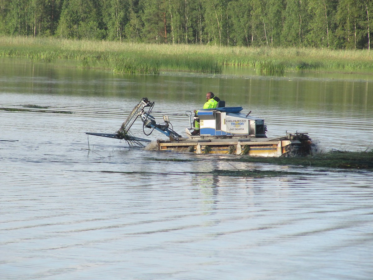 Evijärven kunnostushankkeessa on tehty tänä kesänä muun muassa koekalastuksia ja vesikasvien niittoja.