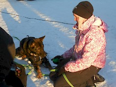 Rane löytyi entisestä kaivosta noin viisi kilometriä paikasta, jossa innostui omille teilleen. Löydöstä on aikaa vasta kuukausi, mutta koira on jo lihonut ja muutenkin kuntoutuksensa loppusuoralla. Emäntä Nea Sovelius on tyytyväinen siitä ja myös tapahtuman yleisömenestyksestä.