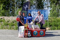 Miljoona Koira 2022 -näyttelyn kaunein koira oli valkoinen länsiylämaanterrieri Who´s Bite The Bullet, om. Eija Hujanen, tuomarina Marianne Holm Larnemaa, Kyläkaupan edustajana Arja Jauhiainen ja näyttelyn puheenjohtaja Helena Salokangas. Kuva Juha Lepistö.