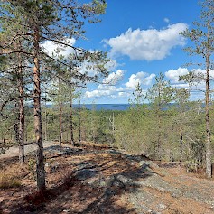 Miten voimme parantaa alueemme matkailupalveluiden edellytyksiä. Vastaa kyselyyn.