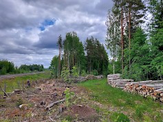 Ratahakku ja puupino. Kuva:Tapio Oy